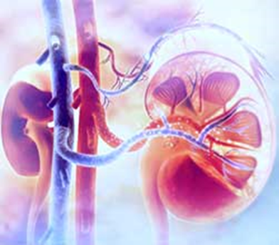 Acute Kidney Disease