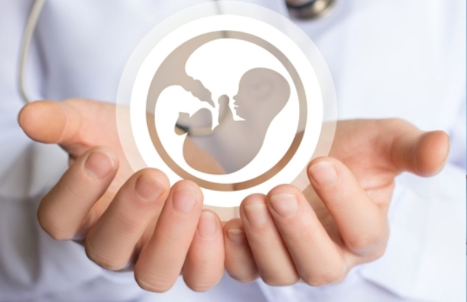 IVF (Fertility Procedure) in Iran