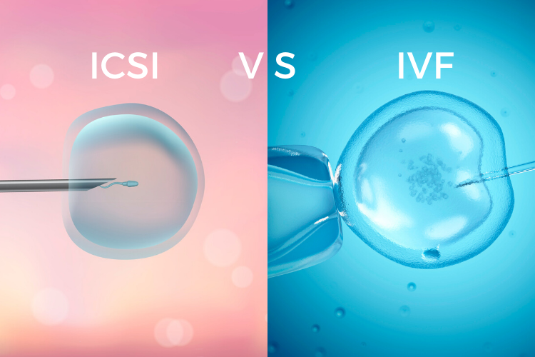 What is the difference between IVF and ICSI?