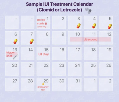 iui calendar steps iranmedtour