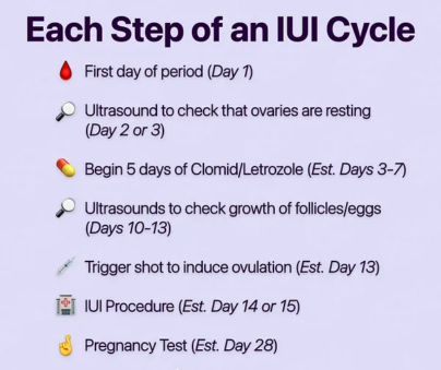 iui cycle steps iranmedtour