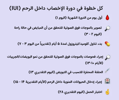 iui cycle steps