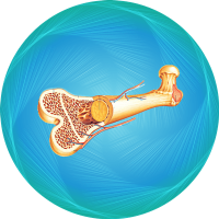Bone-marrow-transplant-icon-min-en
