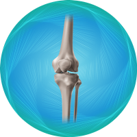 Knee-Replacement-icon-min-ar