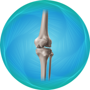 Knee Replacement Package