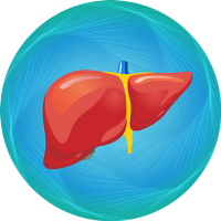 liver-transplant-icon-min-ar